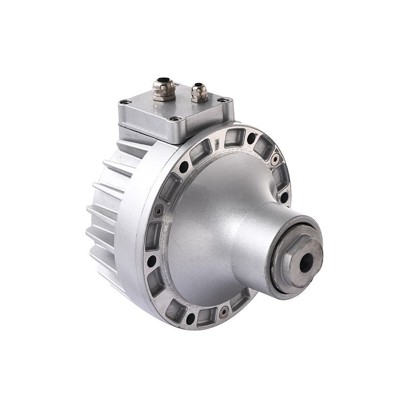 ZDYL2Garden Mower Blade Motor